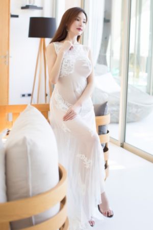 喜爱夜蒲